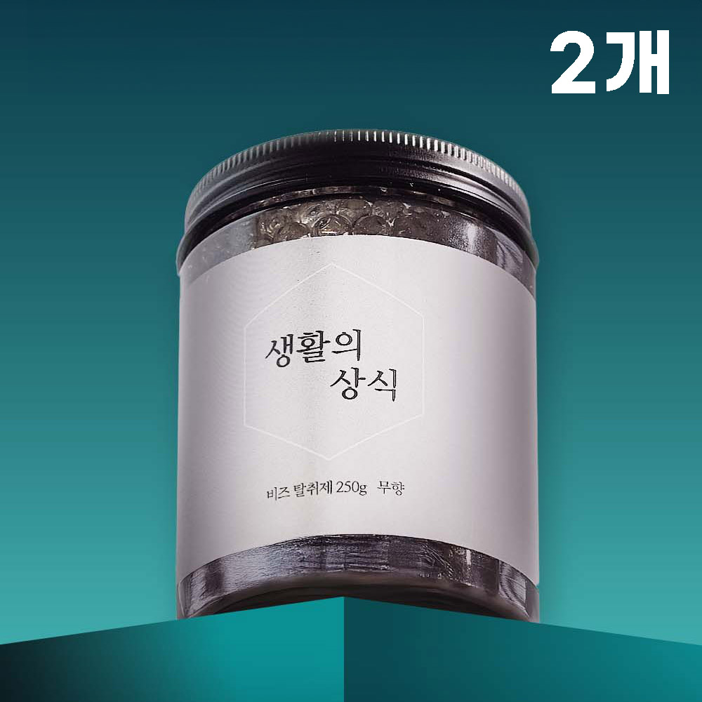 생활의 상식 비즈탈취제250g 2개세트