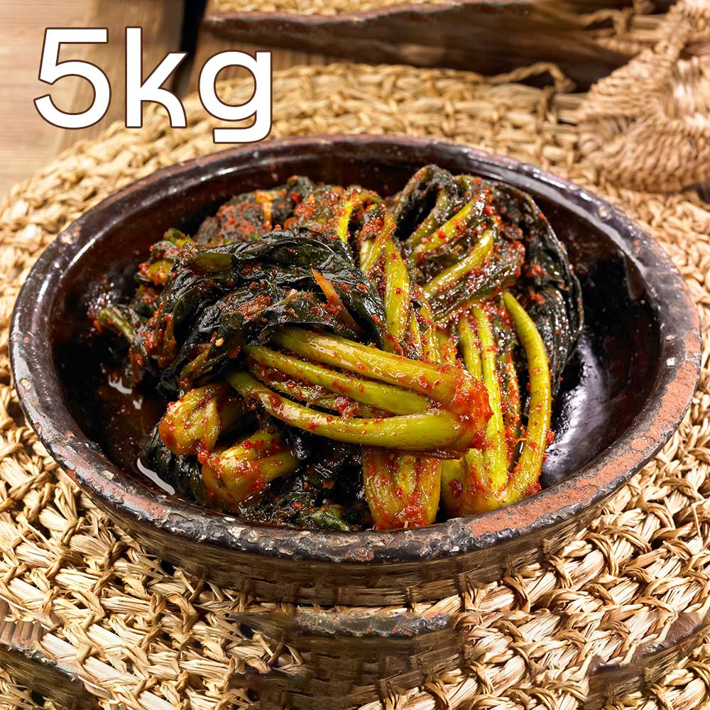 [집밥먹자] 국내산 재료로 만든 갓김치 5Kg