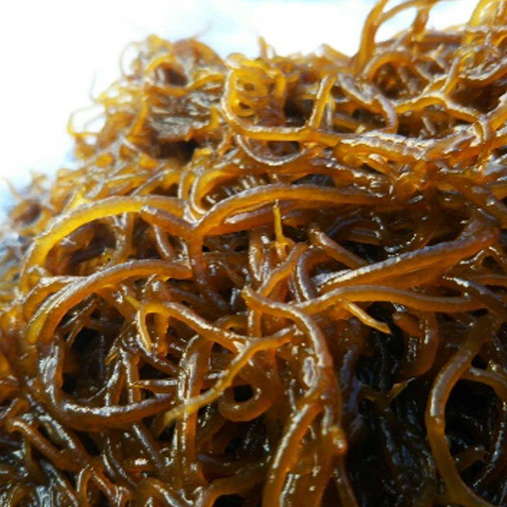 완도산 특품 염장 꼬시래기 350g 2팩