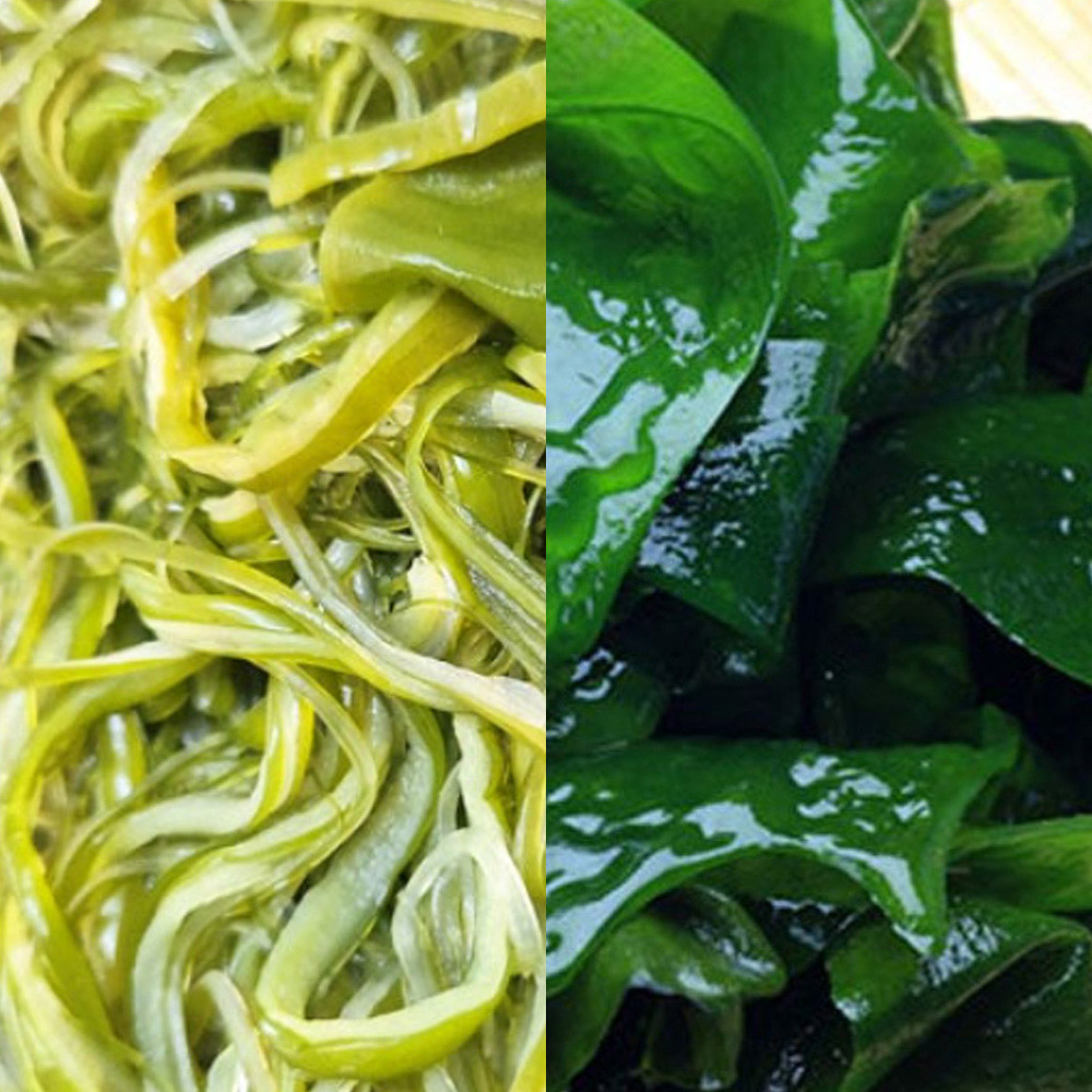 완도산 특품 염장 미역줄기 1팩+쌈다시마 1팩 (팩당 350g)