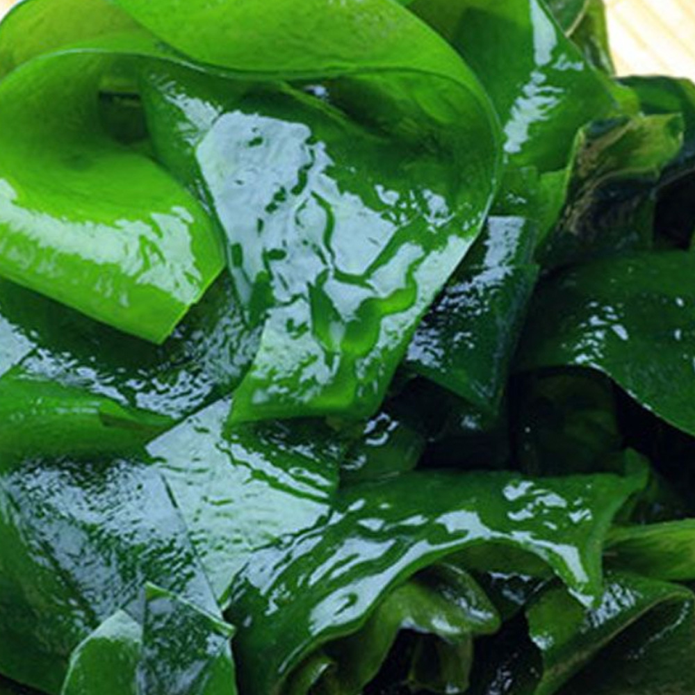 완도산 특품 염장 쌈다시마 10kg