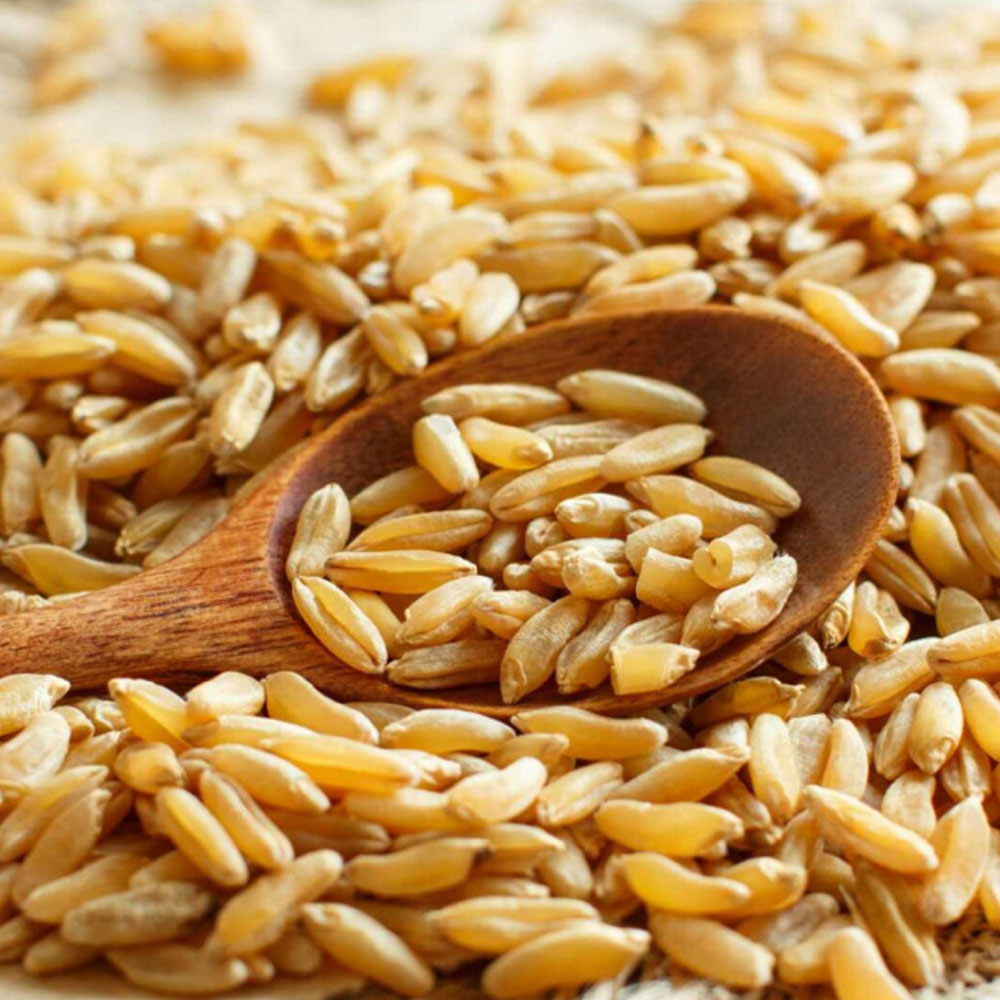 [특품 터키산] 호라산 밀 1kg