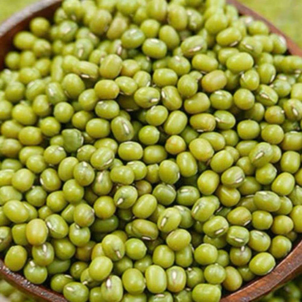 25년산 국산 녹두 1kg(특품)