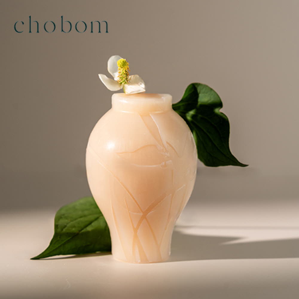 [초봄]식물성 도자기 마스크 바 90g