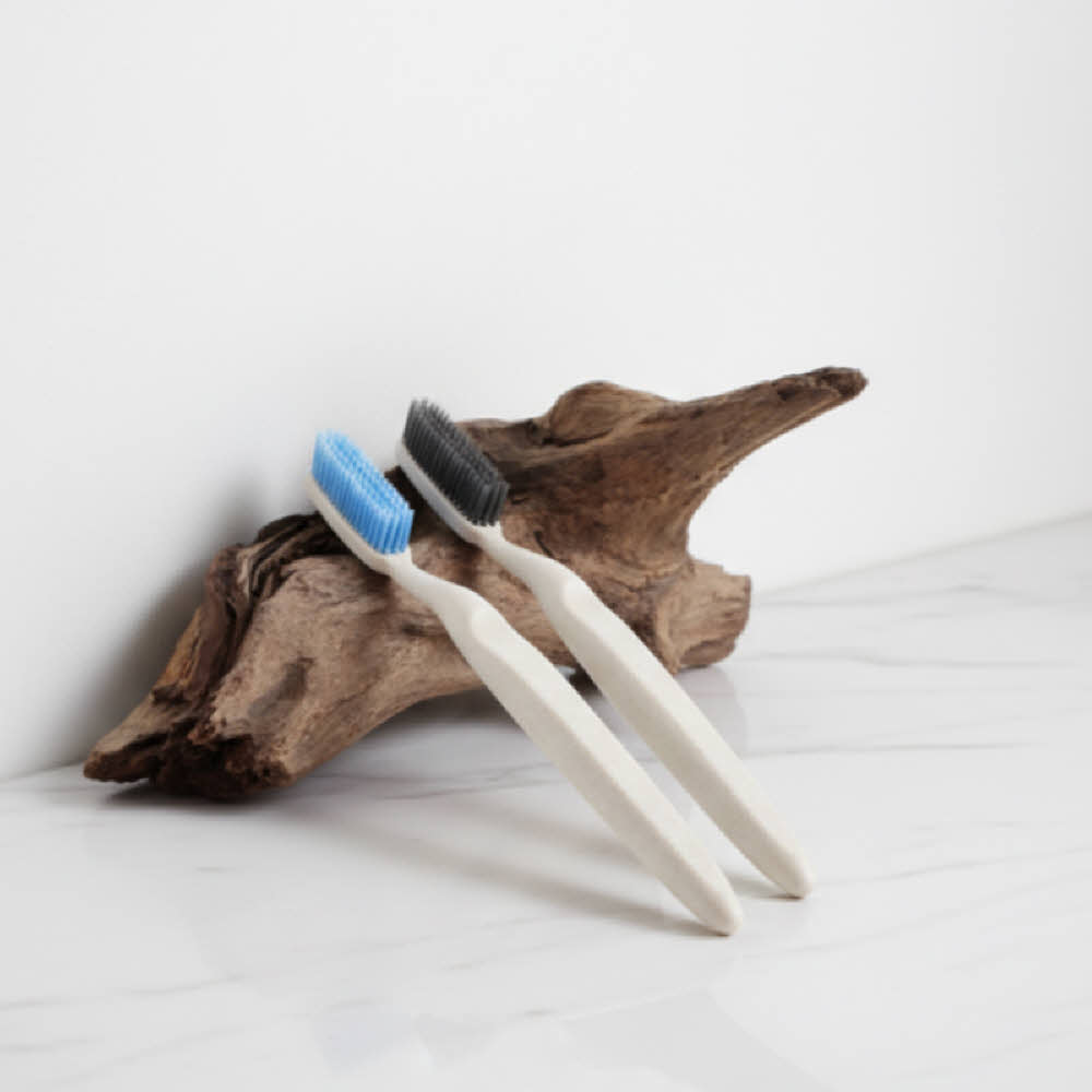 나이스샷 왕모 칫솔 이중미세모 10개입