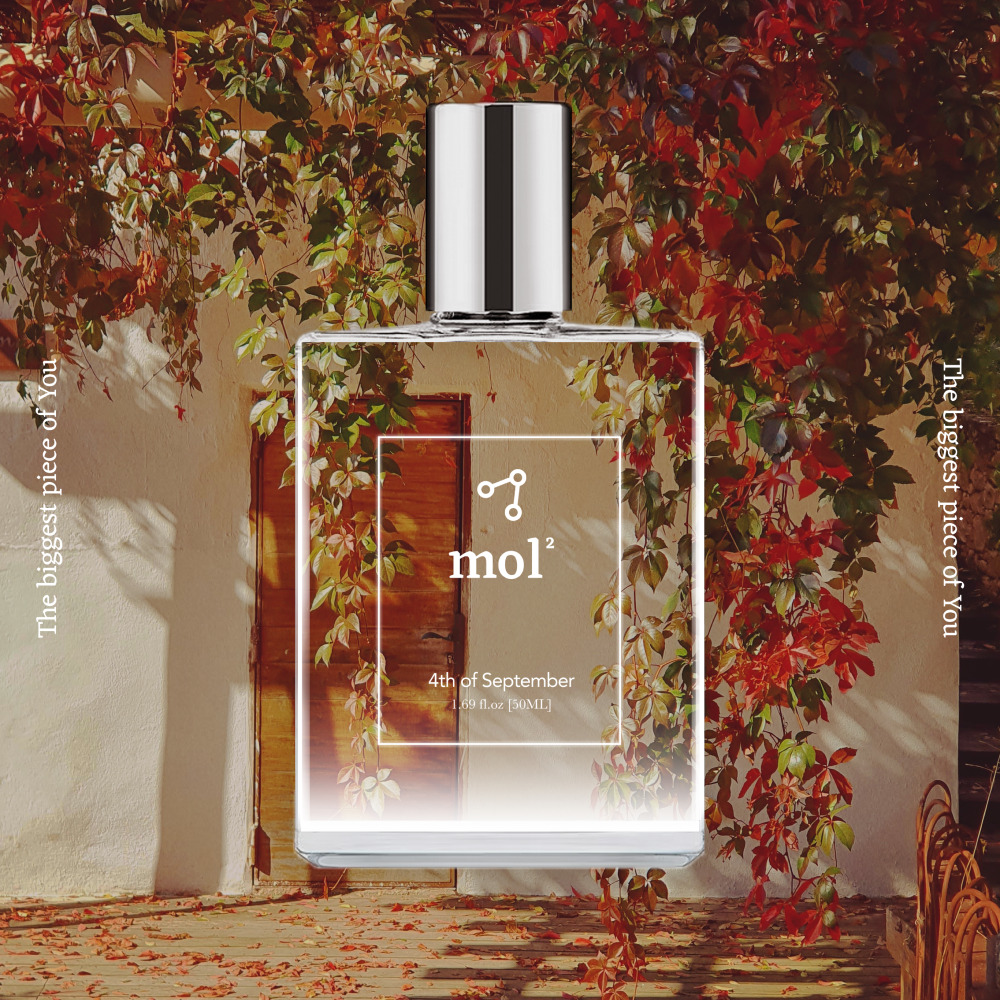 [몰몰] 4th of September 포스오브셉템버