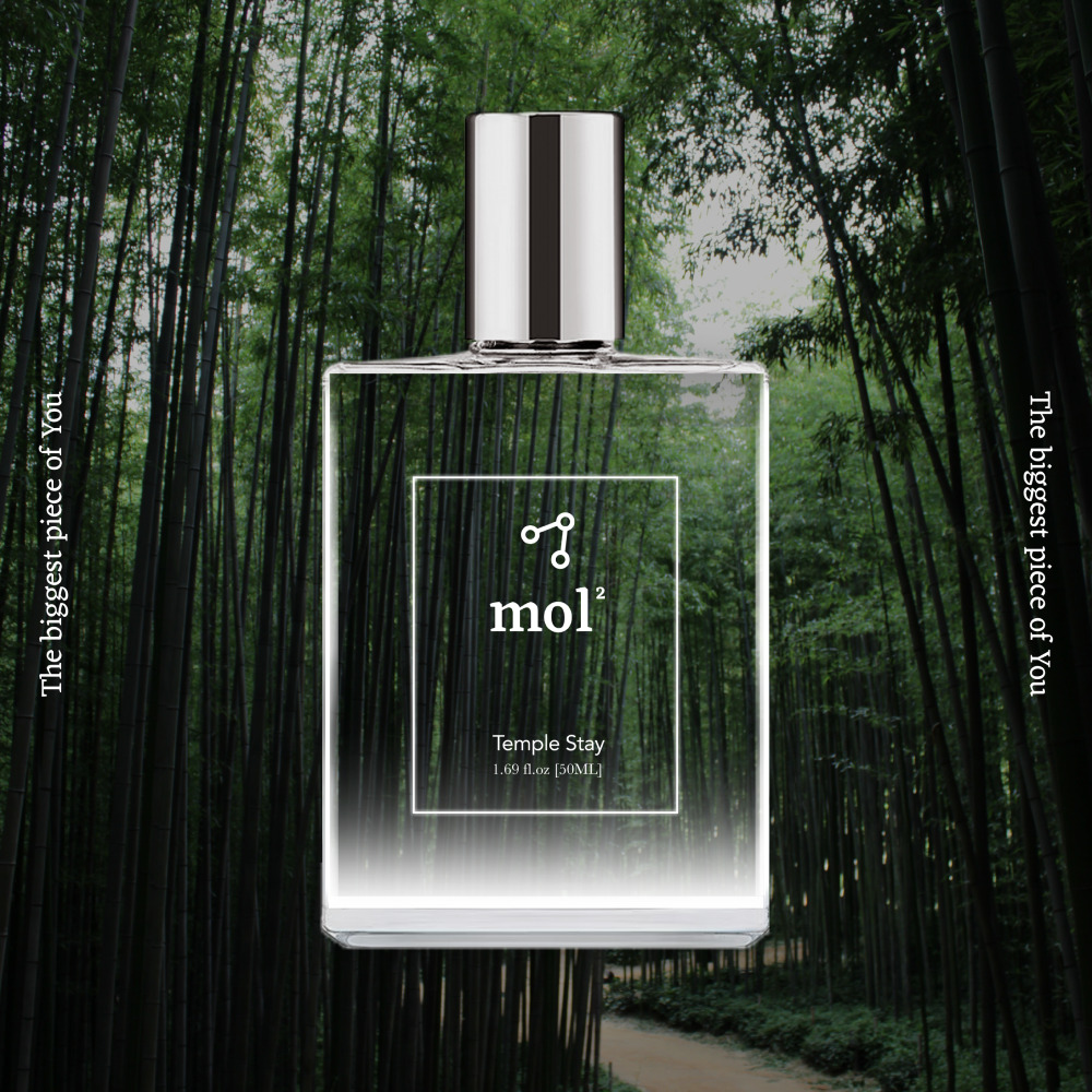 [몰몰] Temple Stay 템플스테이