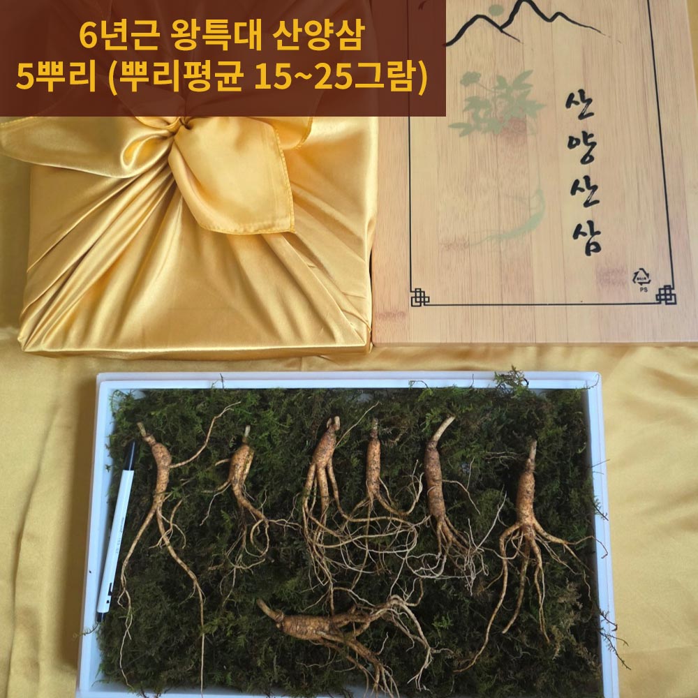 천생삼농장 중복 말복 대비 백숙용 6년근 왕특대 산양산삼 5뿌리 (뿌리평균 15~25그람)