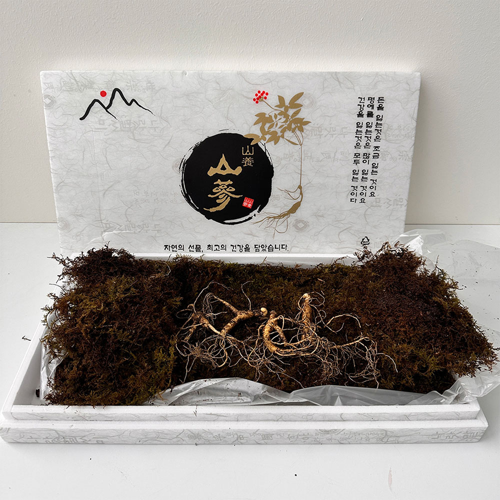 [햇땅] 장뇌삼 산양삼 7-8년산 선물용 5뿌리+2등급서비스 2뿌리