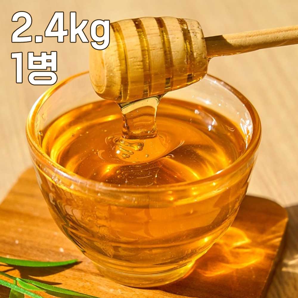 [산앤들] 30년 양봉농가 지리산 사양 벌꿀 2.4kg (1병) 2종 택1