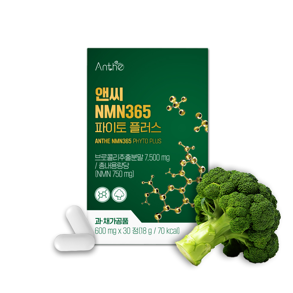 [미국산 프리미엄 고함량 식물성] 앤씨 NMN365 파이토 플러스 600mg x 30정