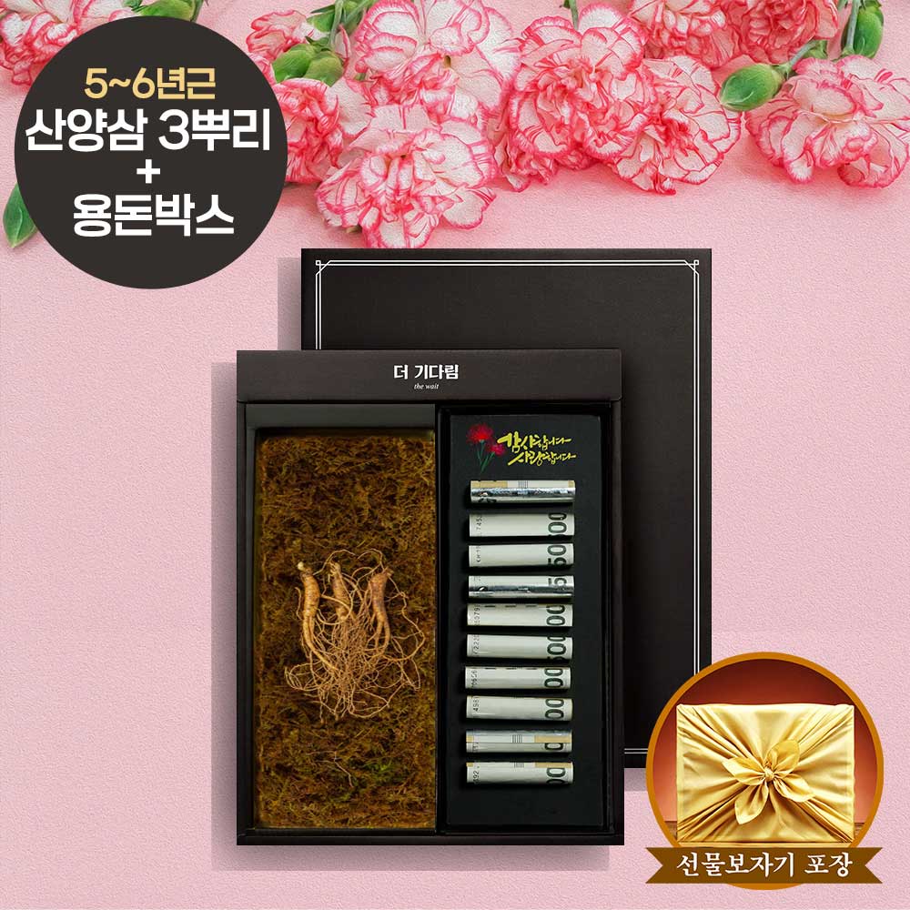 [더기다림]강원도 산양산삼 & 용돈박스 가정의달 선물세트 [산양삼 5~6년근 3뿌리 + 감사용돈박스 10구]