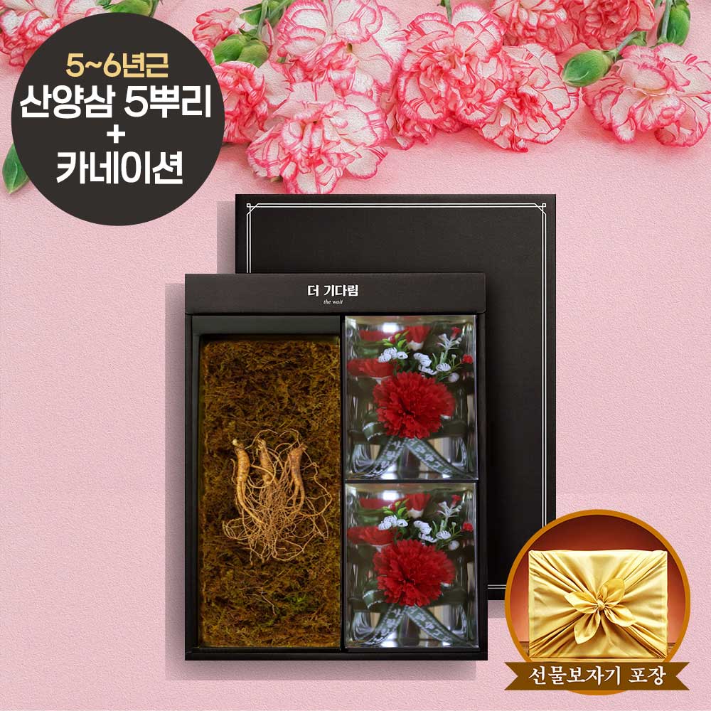 [더기다림]강원도 산양산삼 & 카네이션 가정의달 선물세트 3호 [산양삼 5~6년근 5뿌리 + 카네이션 2구]
