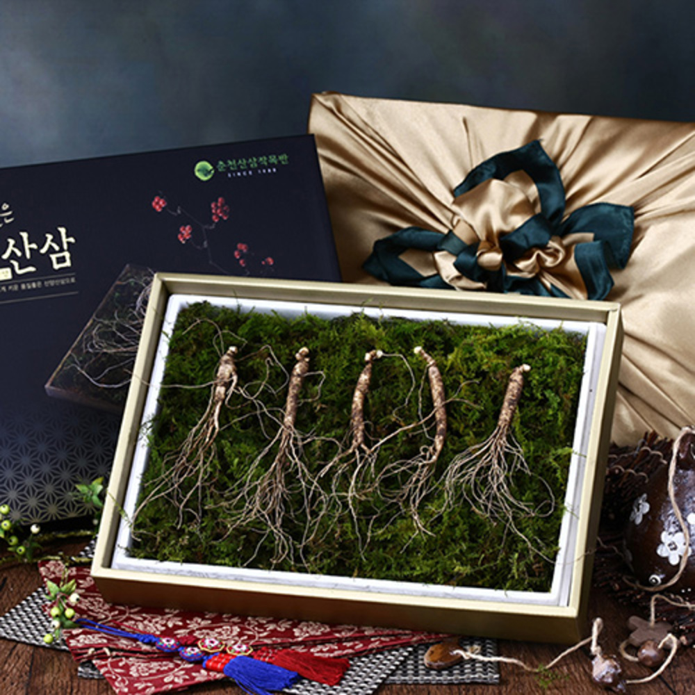 [자연지기] 산양산삼 5~6년근 5뿌리 선물세트