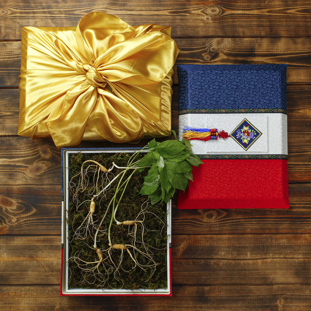 [소문난맛집 한정판][고급포장]강원도 토종 오리지널 산양삼 산양산삼 에디션 S5 명절 선물세트[5-6년근 5뿌리]