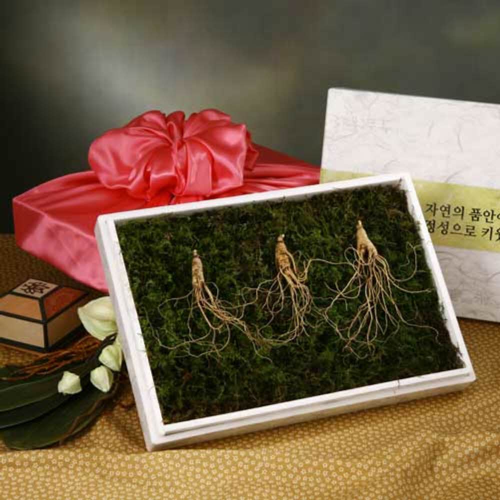 자연지기 산양산삼 1호 (5년근3뿌리)