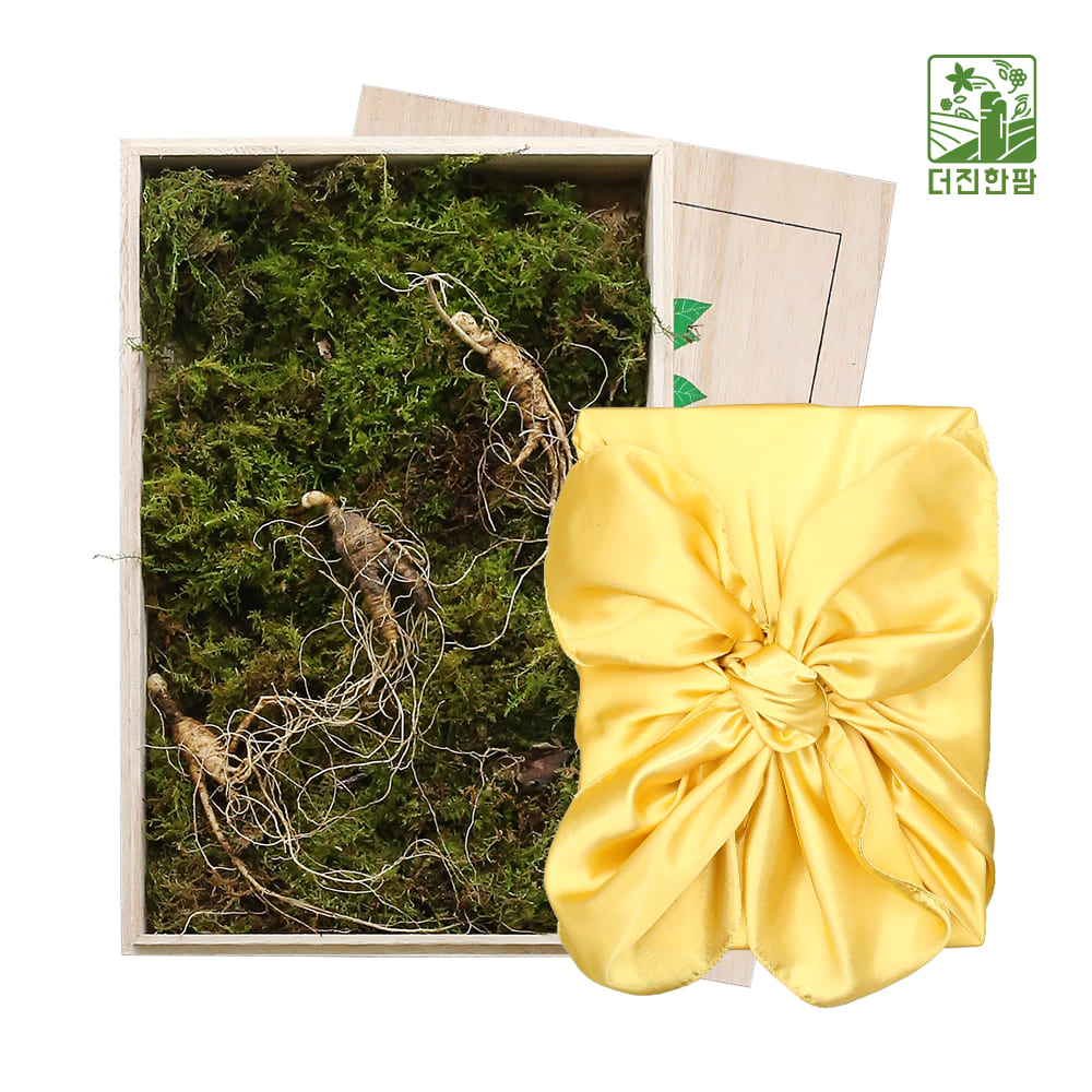 [더진한팜] 기운내삼 6-7년근 산양산삼 3뿌리