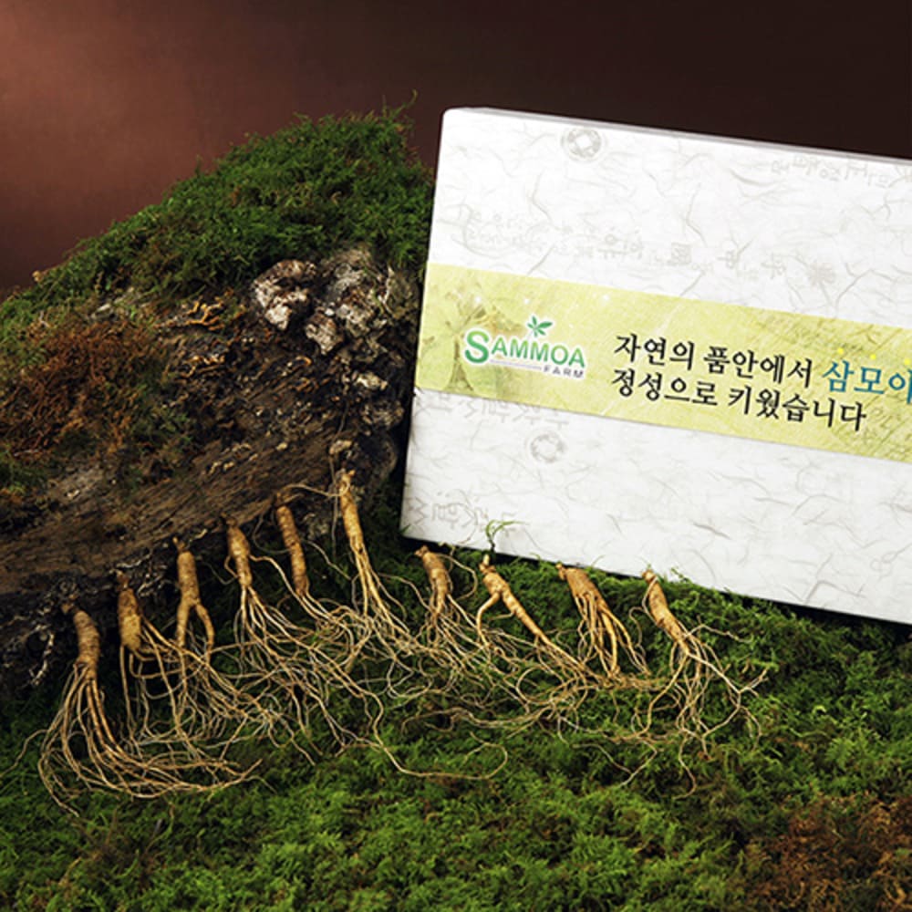 [자연지기] 산양산삼 소삼 5~6년근 10뿌리 실속형