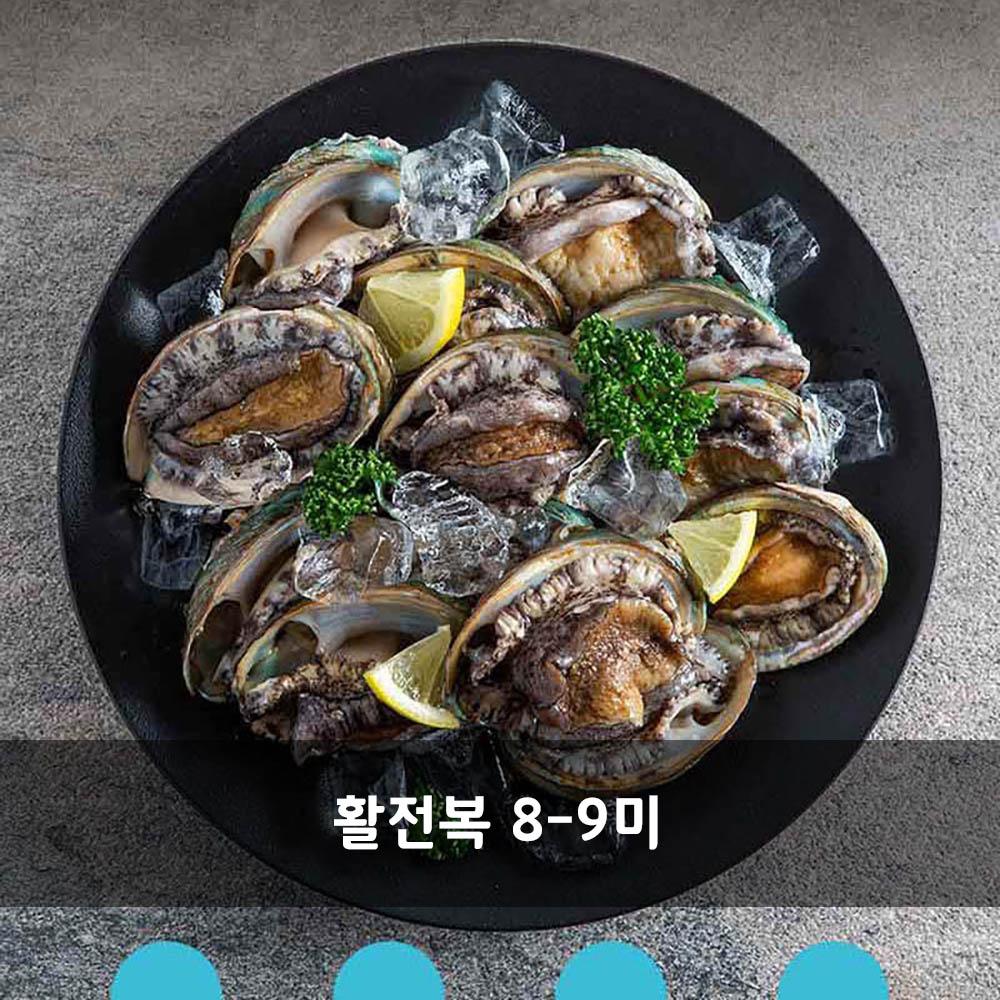 [청진수산] 직접 잡은 초신선 산지직송 활전복 8-9미