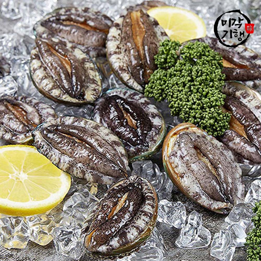 [미각기행] 완도 전복 11-12미 1kg