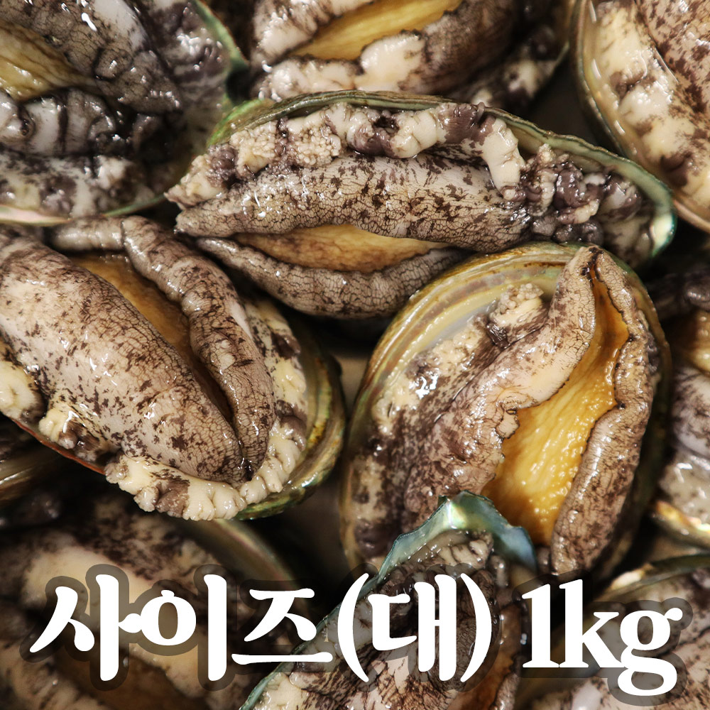산지직송 완도 활전복 대사이즈 1kg (10~14미) 산소포장