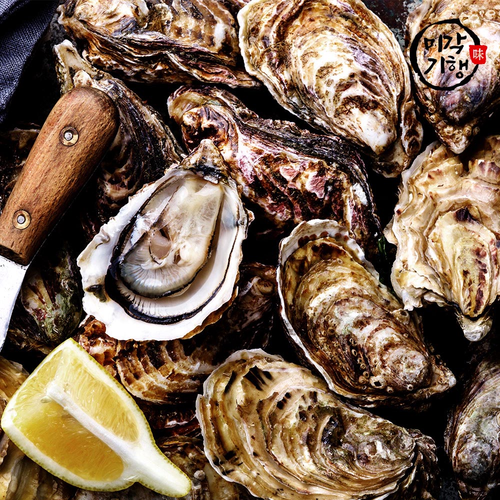 [미각기행] 싱싱하고 신선한 생굴 1kg(빙장포장)